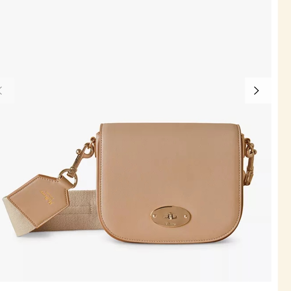 BRAND NEW MULBERRY Small Darley Satchel
Light Salmon Silky Calf w/ Webbing Strap